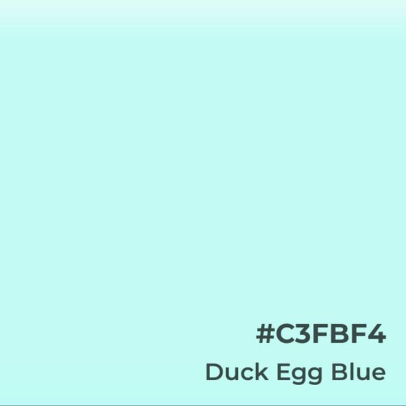 Streetwear Society Sheer Blouse - Picture 5 of 5